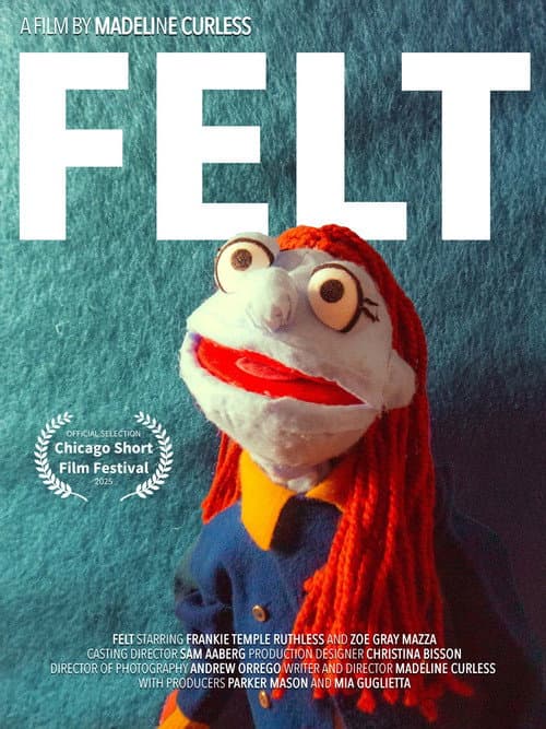 Постер: FELT