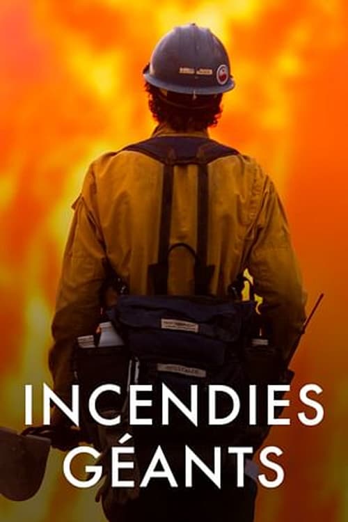 Постер: Incendies géants : enquête sur un nouveau fléau