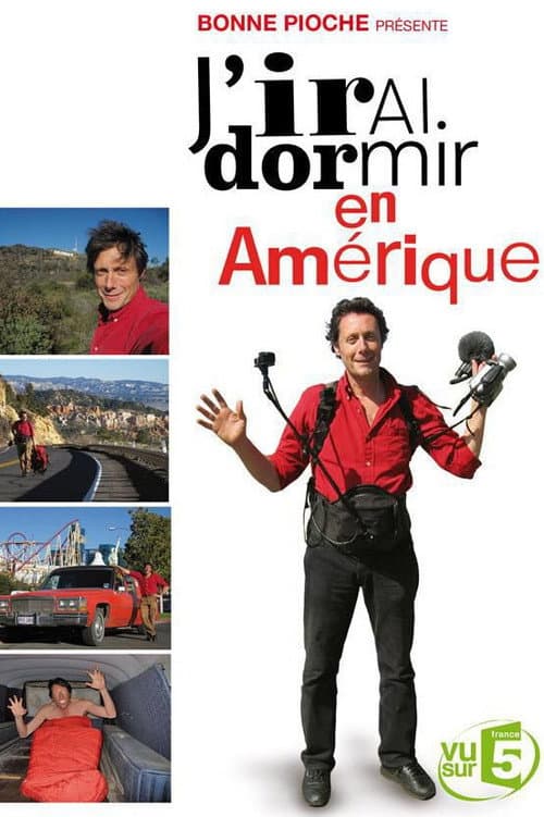 Постер: J'irai dormir en Amérique