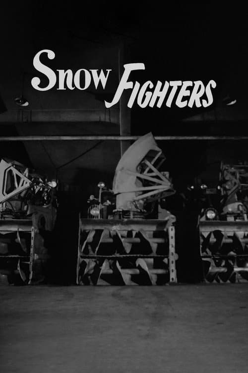 Постер: Snow Fighters