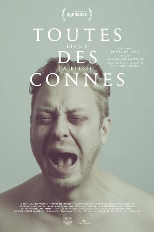 Постер: Toutes des connes