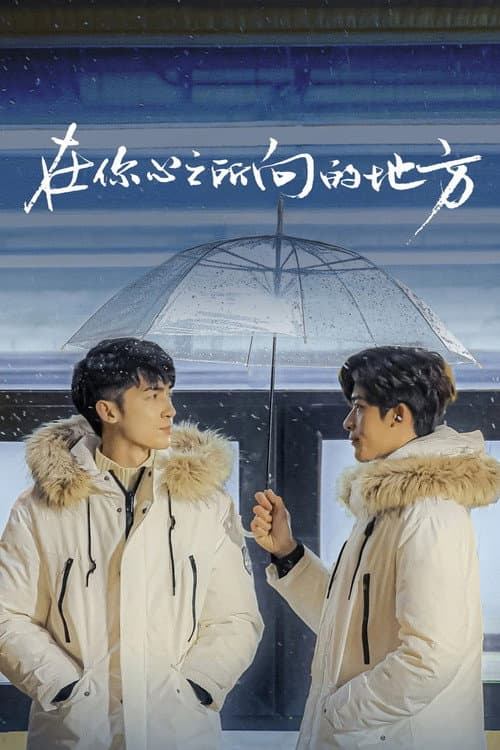 Постер: 在你心之所向的地方 电影版