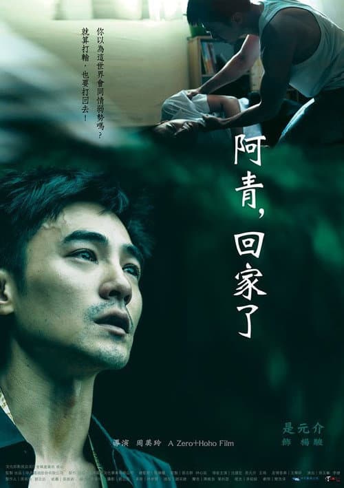 Постер: 阿青,回家了
