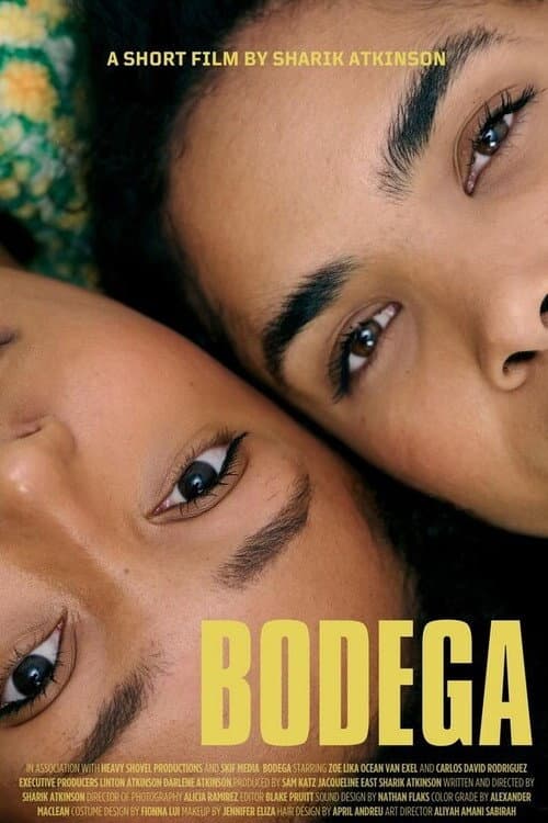 Постер: Bodega