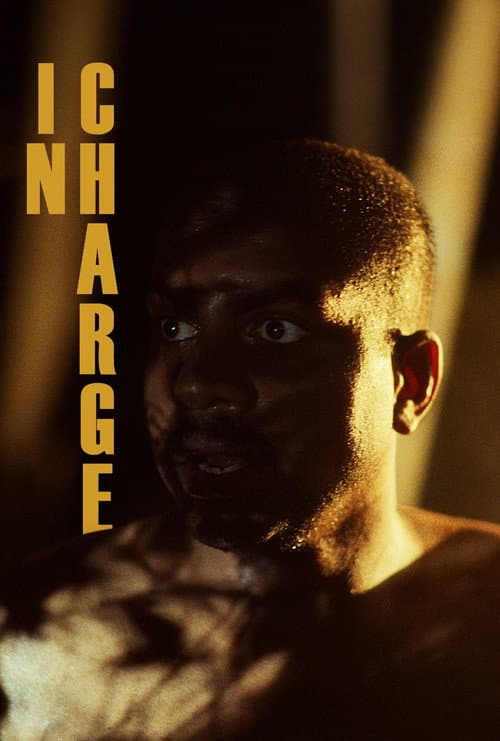 Постер: In Charge