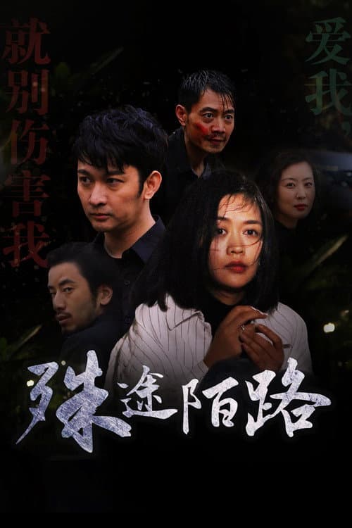 Постер: 殊途陌路