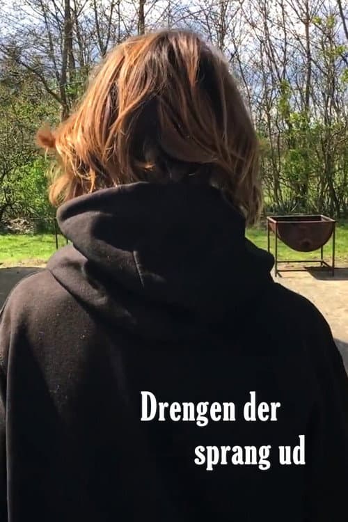 Постер: Drengen der sprang ud