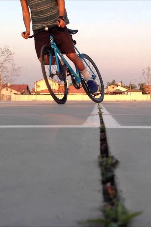 Постер: fixie