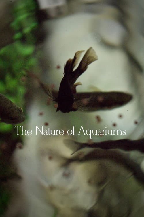 Постер: The Nature of Aquariums