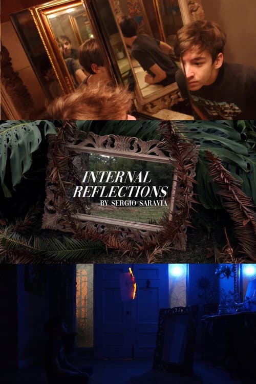 Постер: Internal Reflections