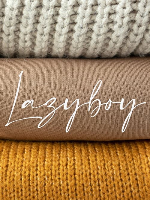 Постер: Lazyboy