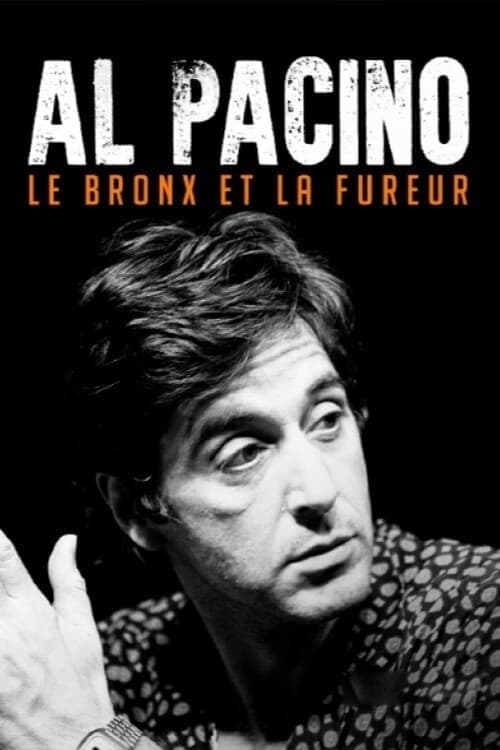 Постер: Al Pacino : le Bronx et la fureur
