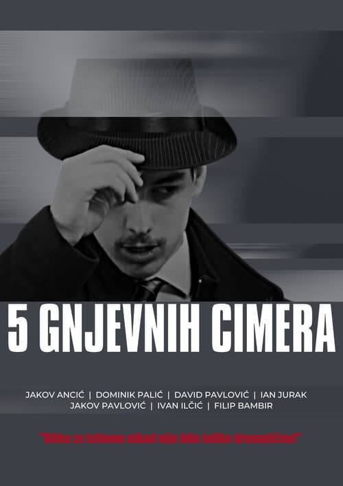 Постер: 5 gnjevnih cimera