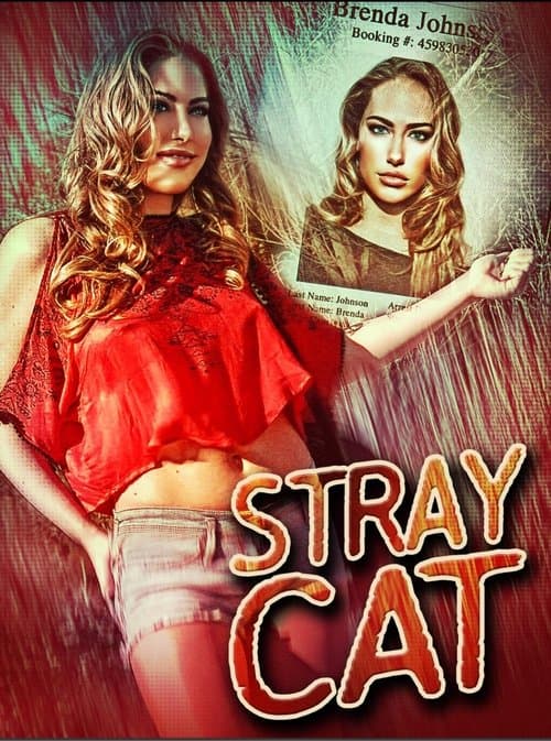 Постер: Stray Cat
