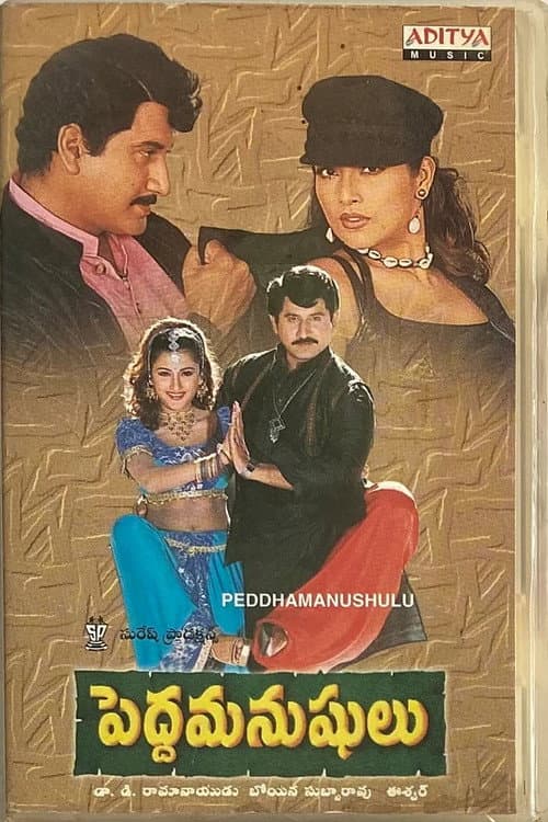 Постер: పెద్దమనుషులు