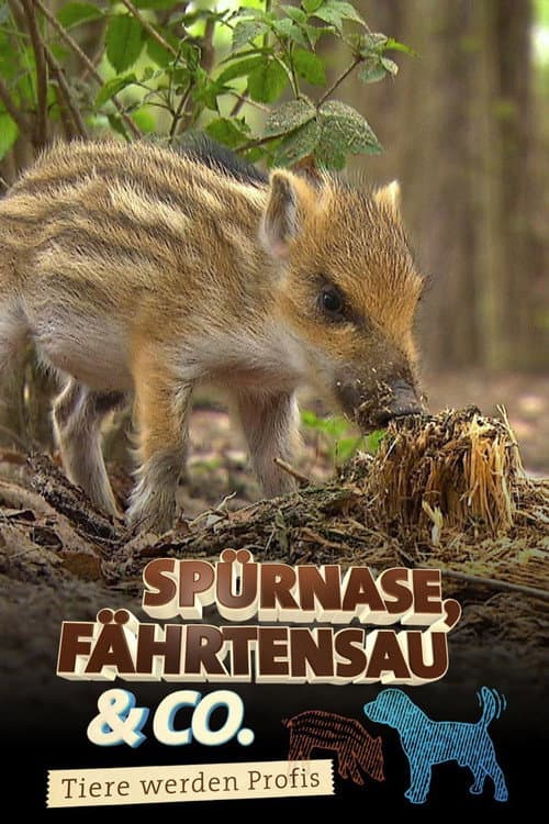 Постер: Spürnase, Fährtensau & Co.