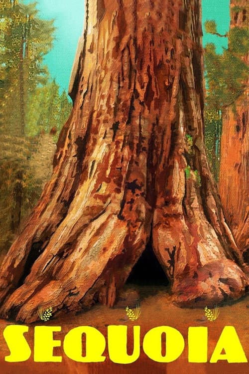 Постер: Sequoia