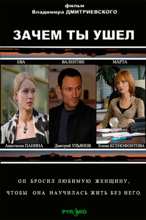 Постер: Зачем ты ушел?