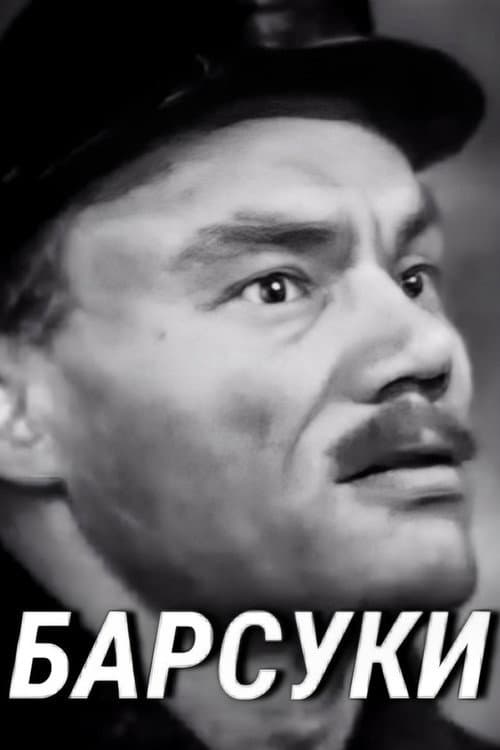 Постер: Барсуки