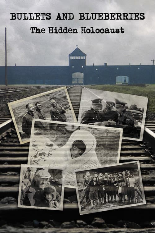 Постер: Bullets And Blueberries