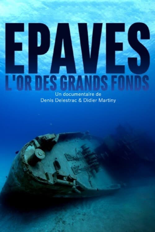 Постер: Épaves, l'or des grands fonds