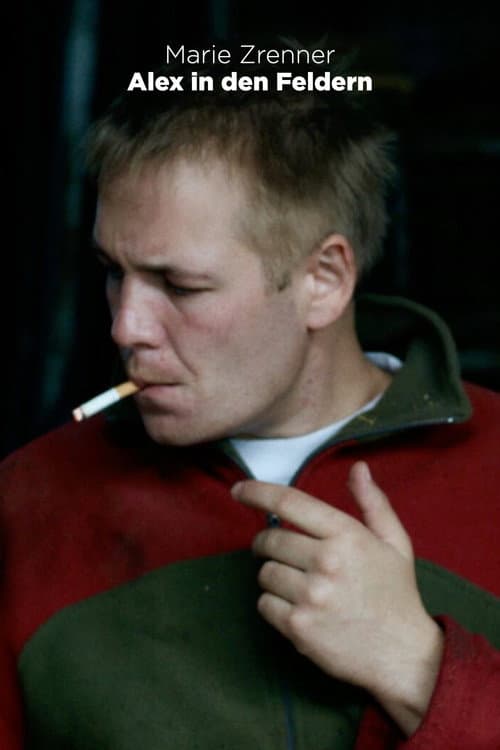 Постер: Alex in den Feldern