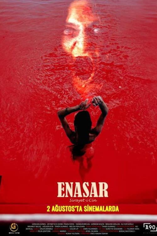 Постер: Enasar: Sirayet-i Cin