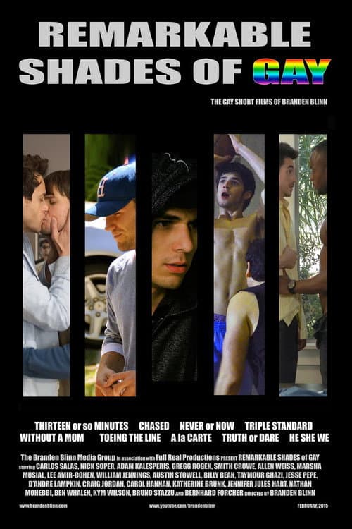 Постер: Remarkable Shades of Gay