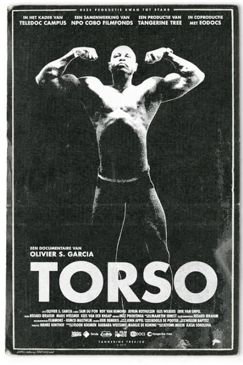 Постер: Torso
