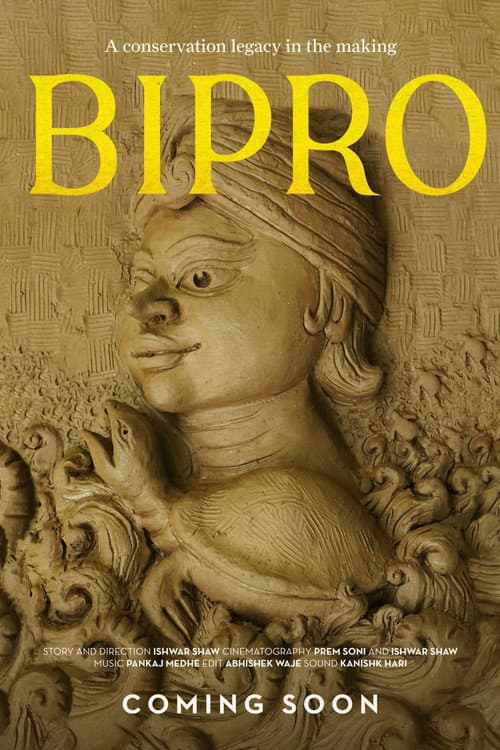 Постер: BIPRO