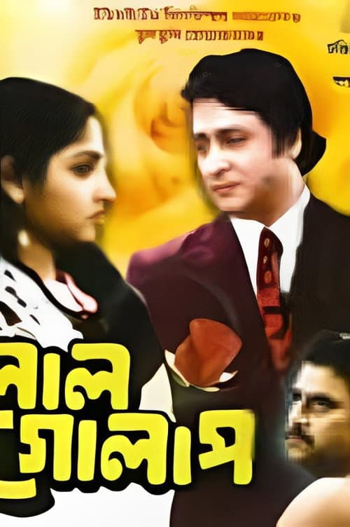 Постер: লাল গোলাপ