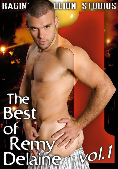 Постер: The The Best of Remy Delaine 1