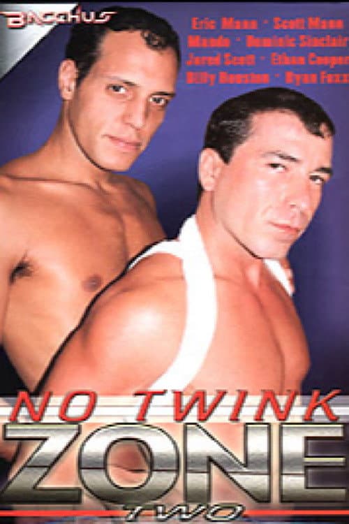 Постер: No Twink Zone 2