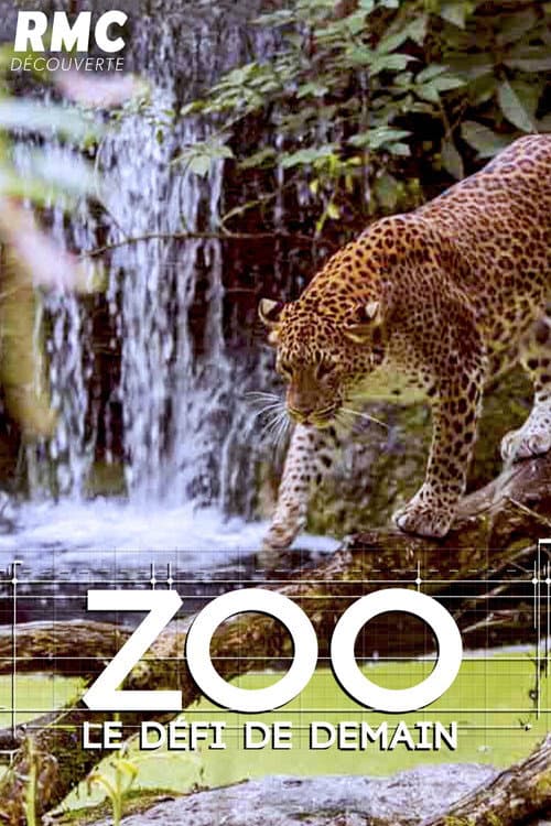 Постер: Zoo : le défi de demain