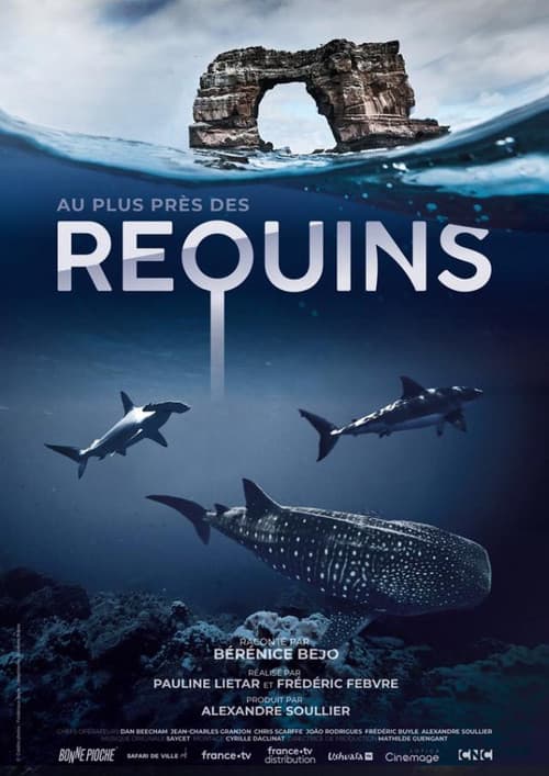 Постер: Au plus près des requins
