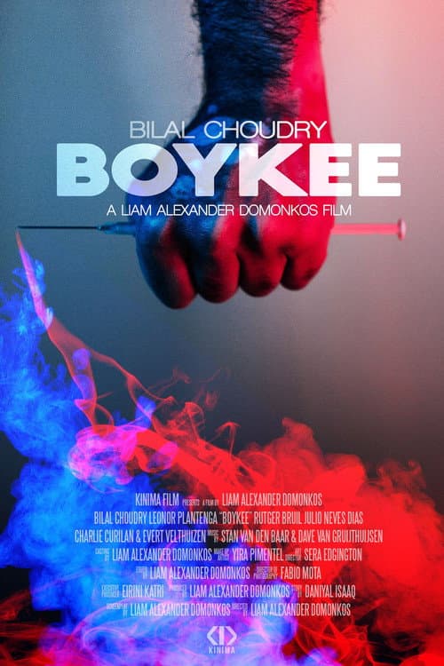 Постер: Boykee