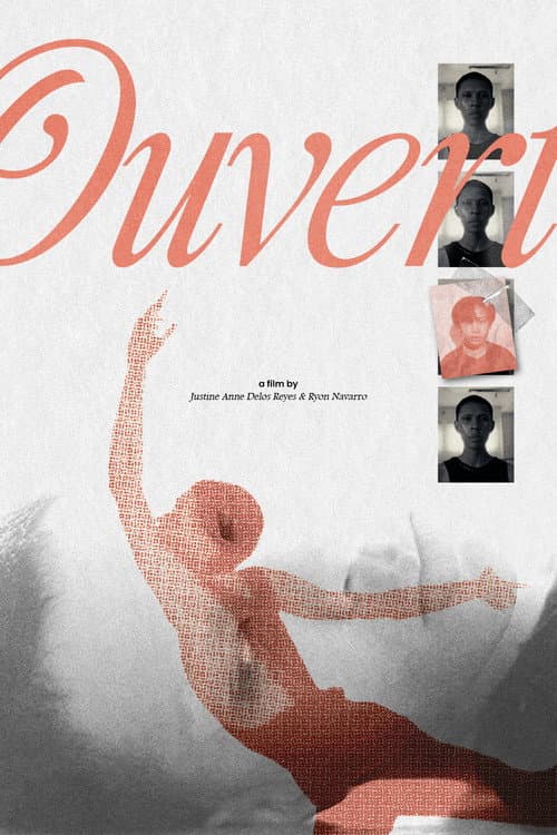 Постер: Ouvert