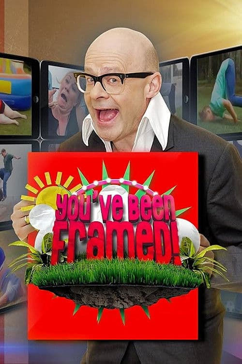 Постер: You've Been Framed!