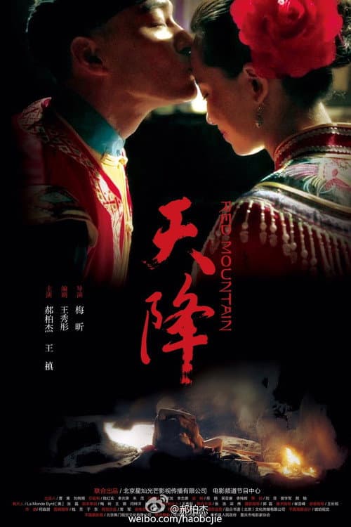 Постер: 天降