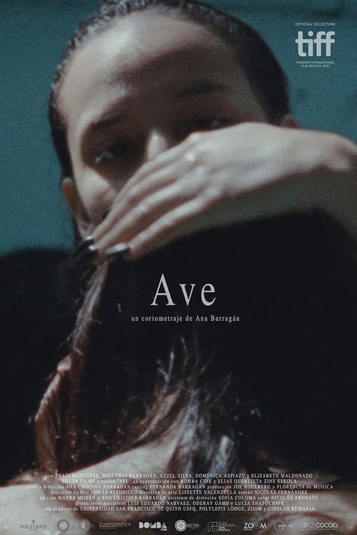 Постер: Ave