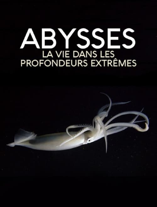 Постер: Extreme der Tiefsee - Abysses