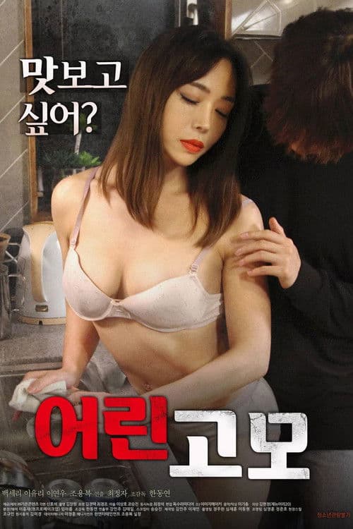 Постер: 어린 고모