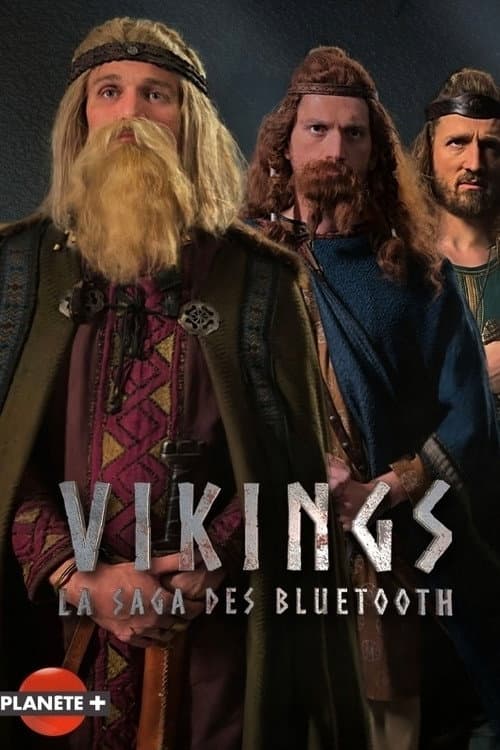 Постер: Vikings : La saga des Bluetooth