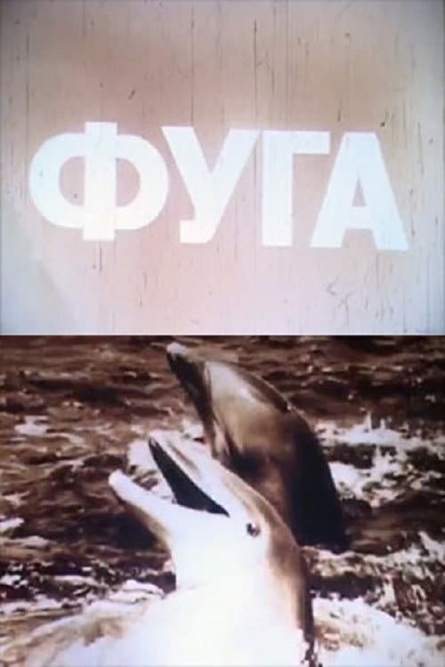 Постер: Фуга