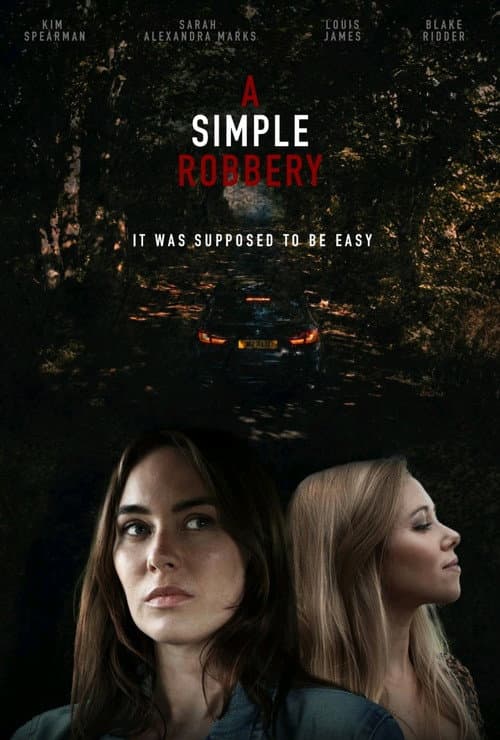 Постер: A simple robbery