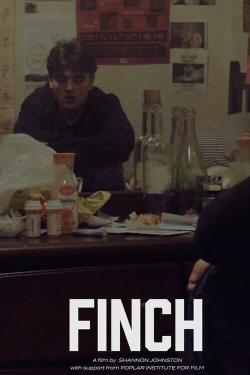Постер: Finch