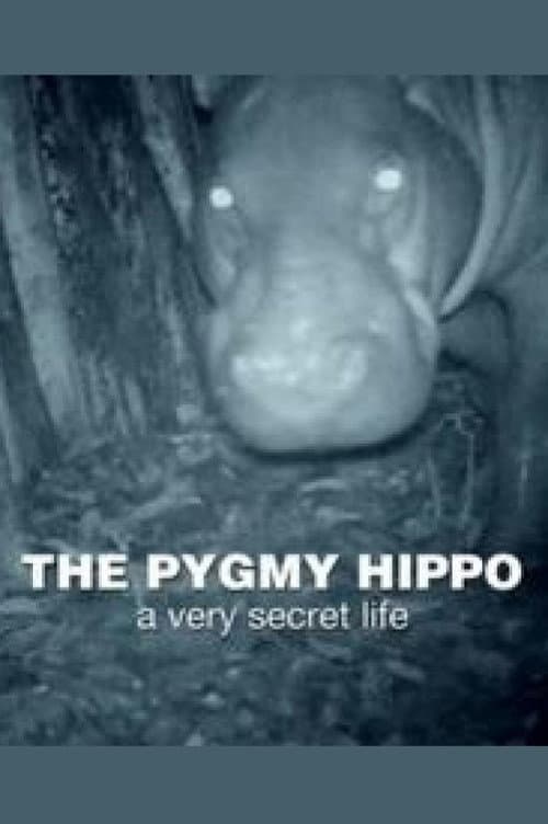 Постер: The Pygmy Hippo: A Very Secret Life