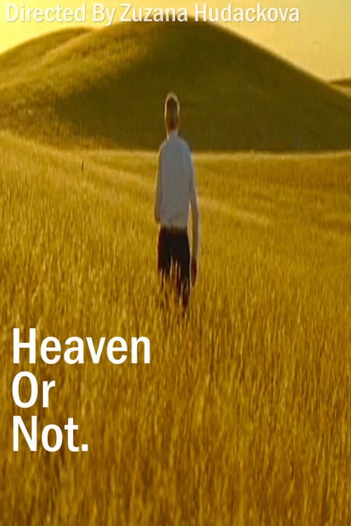 Постер: Heaven Or Not