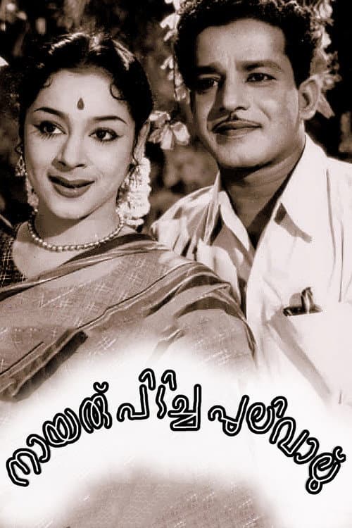 Постер: നായരു പിടിച്ച പുലിവാല്