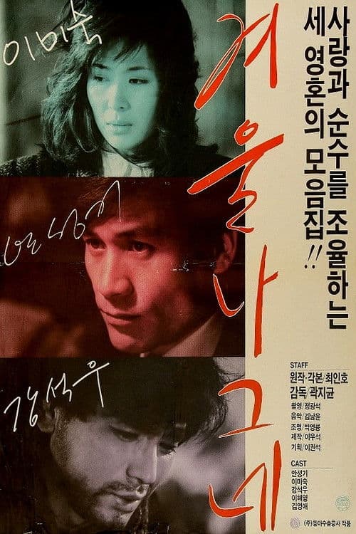 Постер: 겨울 나그네